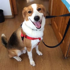 お尻絞りに来てくれたパナップちゃん！スッキリしたね。