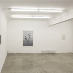 'Sleepover' 160x110cm oil on canvas, 2014 and 'Bandages I,II,III, IV and V' and one from the series 'VAT included' graphite, colour pencils and plasters on cartridge paper, 2006