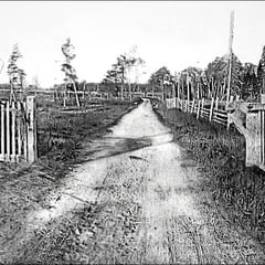 Entrée de la La ferme St-Georges, chemin du quai et du moulin à scie, baie Ellis (1908).