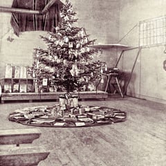 Arbre de Noël, baie Ste-Claire, 1901