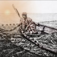 Pêche du hareng à la baie Ellis au mois de juin