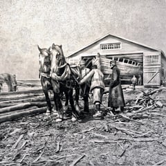 Sortie du grand chaland