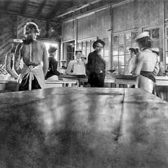 Fox Bay, salle de paquetage de la homarderie