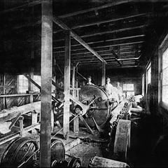 Écorsage du bois de pulpe (1908)