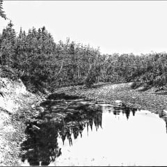 Embouchure de la rivière Bec-Scie (1908)