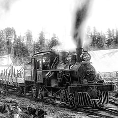 Exploitation forestière, 1910