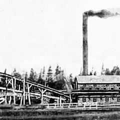 Usine d'écorçage à la baie Ellis