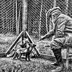 M. Gaston Menier dans l'enclos de ses renards argentés