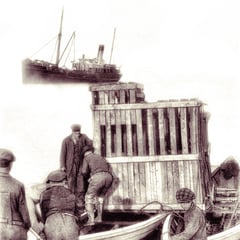 Animaux qui arrivent sur l'île Anticosti