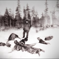 Baie Ellis, pêche à la petite morue