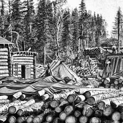 Exploitation forestière, 1910