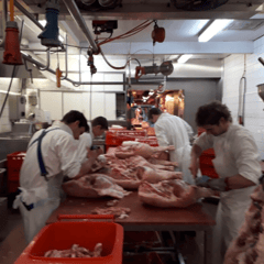 hier war noch alles in Ordnung