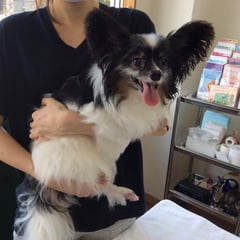 お尻絞りに来てくれたオクちゃん！スッキリして良かったね。