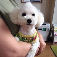 予防注射に来てくれたミルクちゃん！とても頑張ってくれました。