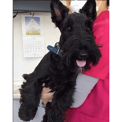 予防注射に来てくれた、はるちゃん！元気いっぱいで頑張りました。