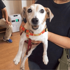 診察に来てくれたちゃこちゃん！少しずつ元気になってきて良かったね。