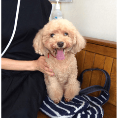 診察を頑張ってくれたチャロちゃん！調子が落ち着いきて良かったね。