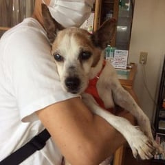 7月3日で１７歳になった、のあちゃん！お誕生日おめでとう。