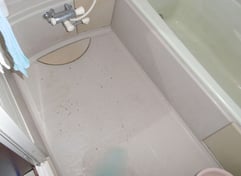 浴室 ユニットバス TOTO サザナ リフォーム前