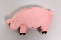 Schwein