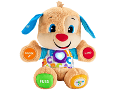 Fisher-Price Lernspass Hündchen ab 6 Monaten.