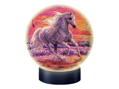 3D Puzzle Nachtlicht Pferd am Strand 11843.