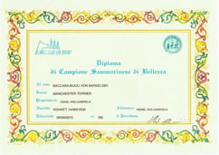 Bild anklicken um zu vergrößern 