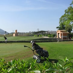 Ontbijt met kakelverse eitjes broodjes sap thee koffie