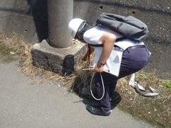 「アリ」の生息しがちな場所を調査