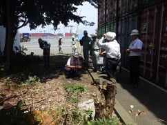 土の多い場所は特に念入りに調査