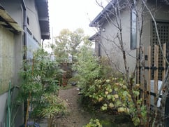 増築に伴う庭解体・整理（移植・伐採）＠奈良県北葛城郡広陵町