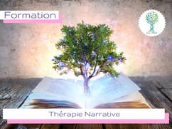 ellipsy-formation-approches-narratives