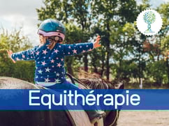 ellipsy-formation-médiation-équine-équithérapie