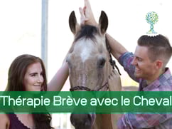 ellipsy-formation-thérapie-brève-avec-le-cheval
