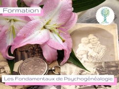 ellipsy-formation-psychopraticien-cycle-1-fondamentaux-psychogenealogie