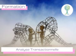 ellipsy-formation-psychopraticien-cycle-1-analyse-transactionnelle