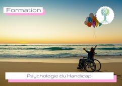 ellipsy-formation-psychologie-handicap