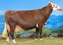 HARMONIE (Echalas) Gaec le Fenil (74)