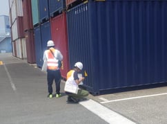 Setting insect traps  around container