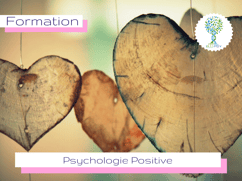 ellipsy-formation-psychopraticien-cycle-1-psychologie-positive