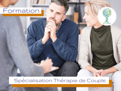 ellipsy-formation-psychopraticien-cycle-3-thérapie-conjugale