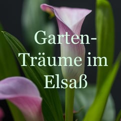 Gartenträume im Elsass: Foto Rainer Sturm stormpic.de