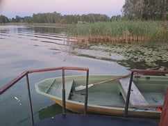 Green rowboat in a lake near Ludza, Latvia, with reeds and forest in background