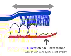 Was ist "Querputzen" und wann wird es gemacht? (© Doc S)