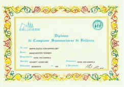 Bild anklicken um zu vergrößern 