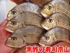 江東区越中島まで美味しいお寿司をお届けします。宅配寿司の京山です。お正月も営業します！