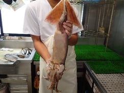 ソデイカの寿司　出前　デリバリー