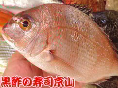 千代田区　宅配可能　寿司　霞が関