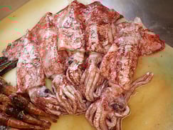 ドスイカ　羅臼　未利用魚