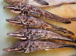 ハッカクの寿司　デリバリー　出前